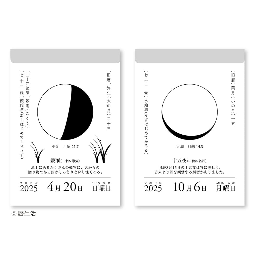 Amazon | 新日本カレンダー 2025年 カレンダー 日めくり 月と暦